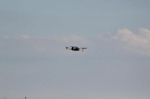 IMG 0702